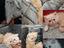 Immagine 4
