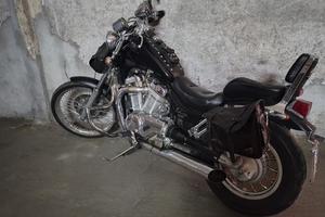 Suzuki intruder 800