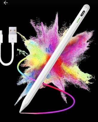 penna per ipad 