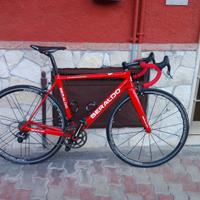 Bici strada Sarto team Beraldo