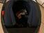 Immagine 4