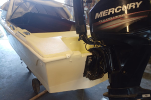 Barca unica cacciapesca/cofano + Mercury F40/60