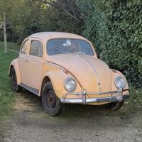 Maggiolino nasino 1959 ASI