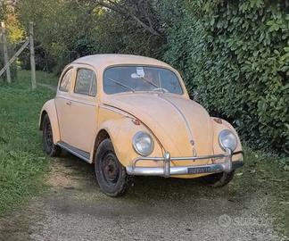 Maggiolino nasino 1959 ASI