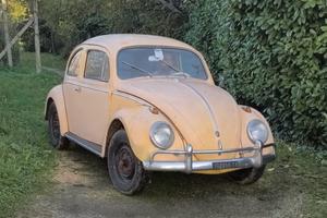 Maggiolino nasino 1959 ASI