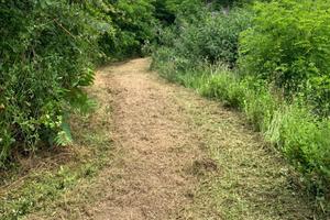 Terreno boschivo 5600mq