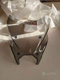 cupolino Yamaha MT 09