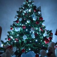 Albero di natale