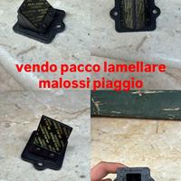 pacco lamellare malossi piaggio