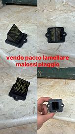 pacco lamellare malossi piaggio
