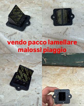 pacco lamellare malossi piaggio