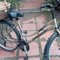 bicicletta da donna