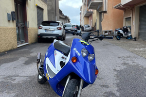 Malaguti F10 50 (70)