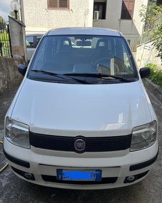 Panda cilindrata 1100