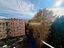 Immagine 14