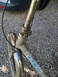 bicicletta pieghevole