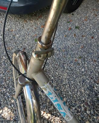 bicicletta pieghevole