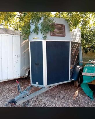 Trailer Usato 