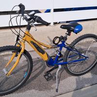 bicicletta 