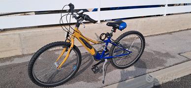 bicicletta 