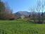 Immagine 11
