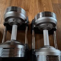 Pesi regolabili rexgym