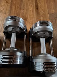 Pesi regolabili rexgym