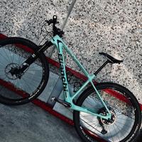 Bianchi methanol cvrs