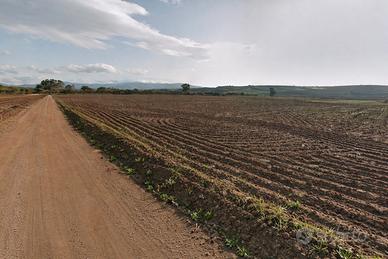 Terreno agricolo - Sestu (Cagliari)