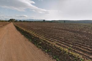 Terreno agricolo - Sestu (Cagliari)