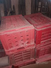 CASSETTA IN PLASTICA PER ORTOFRUTTA,