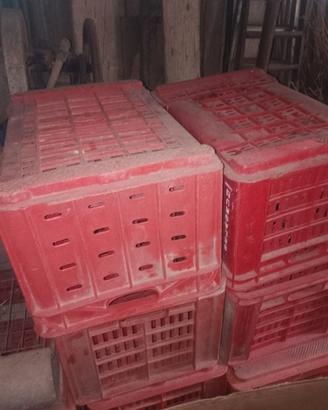 CASSETTA IN PLASTICA PER ORTOFRUTTA,