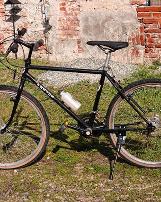 Mountain Bike Frejus 