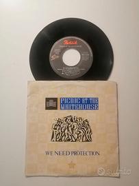 Picnic At The Whitehouse