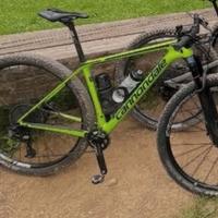 Mtb Cannondale 29 in carbonio taglia M