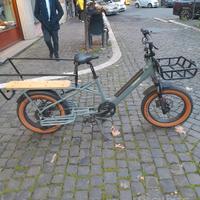bici elettrica 