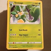 carte Pokemon 