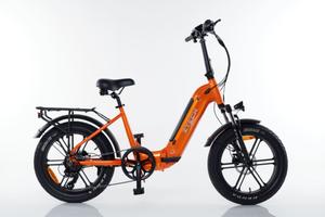 Bici Elettrica ZT-89K Kronos
