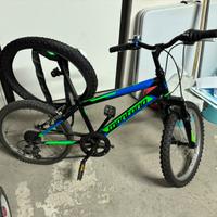 Bicicletta 20“