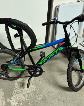 Bicicletta 20“