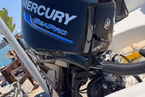 MERCURY 40 ELPT 4S SP