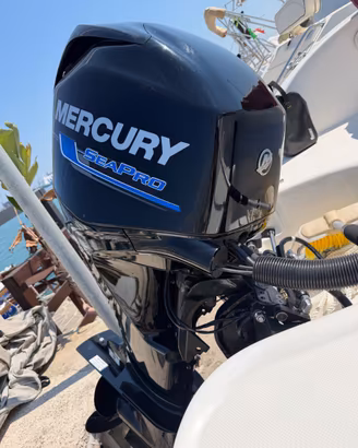 MERCURY 40 ELPT 4S SP
