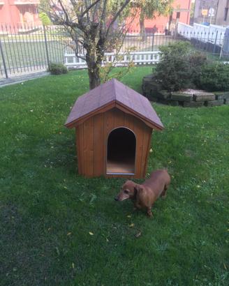 Cuccia per cane