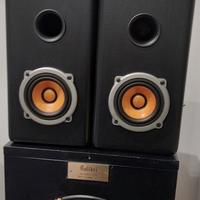 diffusori full range coni in legno