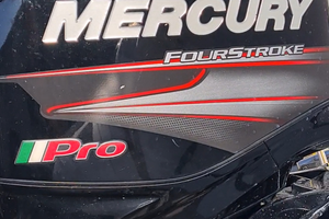 Motore fuoribordo mercury 40 pro