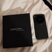 Vivo X300 Pro 12/256 
