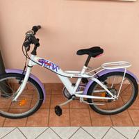 Bicicicletta bimba ruota 20 rovigo