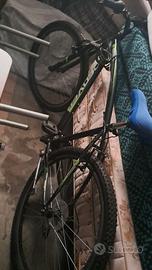 bicicletta denver mtb 