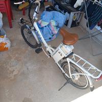 bici elettrica 