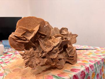 Rosa del deserto